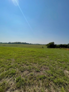 98.07+/- Acres in Buchanan County MO - image 9