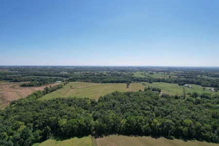 98.07+/- Acres in Buchanan County MO - image 4