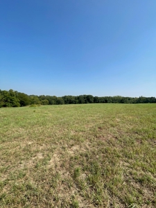 98.07+/- Acres in Buchanan County MO - image 13