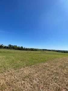 98.07+/- Acres in Buchanan County MO - image 17