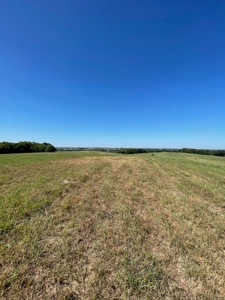 98.07+/- Acres in Buchanan County MO - image 10
