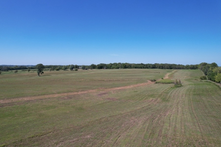 98.07+/- Acres in Buchanan County MO - image 3