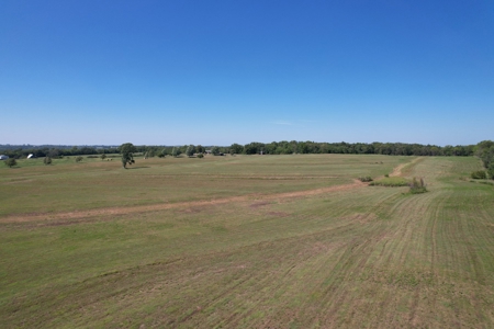 98.07+/- Acres in Buchanan County MO - image 2