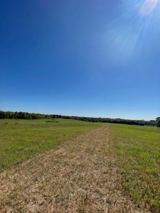 98.07+/- Acres in Buchanan County MO - image 7
