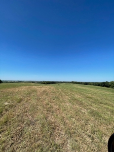 98.07+/- Acres in Buchanan County MO - image 14