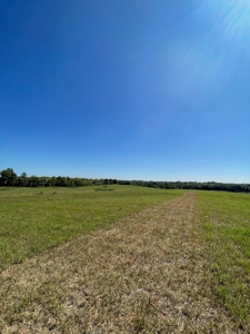 98.07+/- Acres in Buchanan County MO - image 12