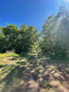 98.07+/- Acres in Buchanan County MO - image 8