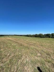 98.07+/- Acres in Buchanan County MO - image 16