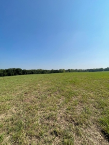 98.07+/- Acres in Buchanan County MO - image 18