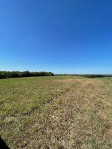 98.07+/- Acres in Buchanan County MO - image 15