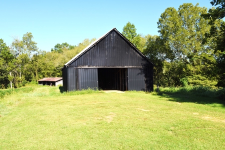 Hobby Farm on 22 acres, 1960s Home, Barns, Woods, Pasture - image 14