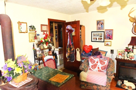Hobby Farm on 22 acres, 1960s Home, Barns, Woods, Pasture - image 32