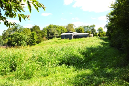 Hobby Farm on 22 acres, 1960s Home, Barns, Woods, Pasture - image 5