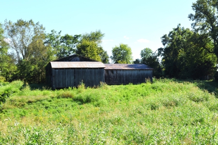 Hobby Farm on 22 acres, 1960s Home, Barns, Woods, Pasture - image 19
