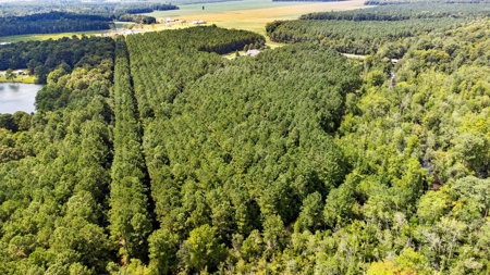 Country Home for Sale in Hyde County - image 12