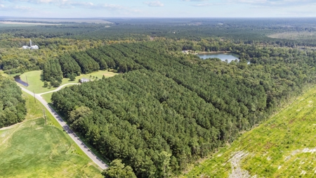 Country Home for Sale in Hyde County - image 10