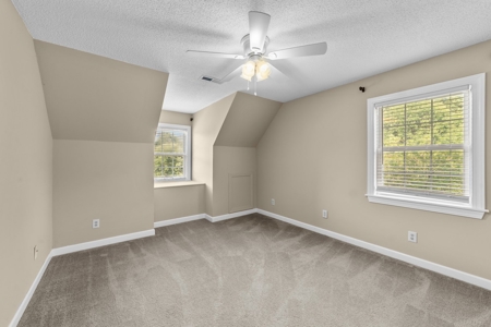 Country Home for Sale in Hyde County - image 50