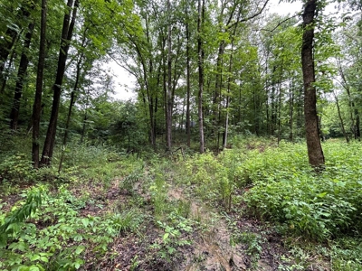 Starkville MS Residential Lot for Sale - image 6