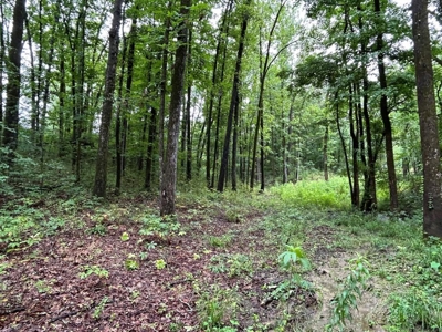 Starkville MS Residential Lot for Sale - image 1