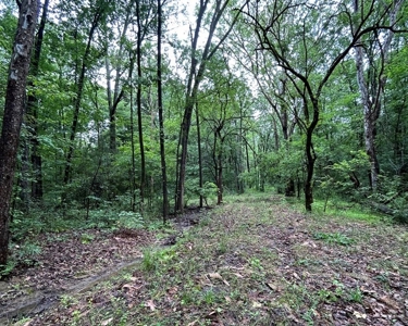 Starkville MS Residential Lot for Sale - image 3