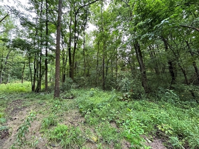 Starkville MS Residential Lot for Sale - image 7