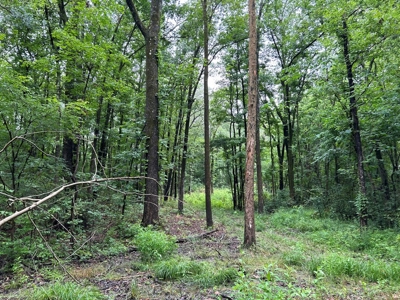 Starkville MS Residential Lot for Sale - image 5