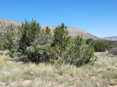 Beautiful 13 Acre Northern Az Off Grid Property - image 8