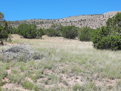 Beautiful 13 Acre Northern Az Off Grid Property - image 14