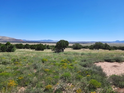 Beautiful 13 Acre Northern Az Off Grid Property - image 12