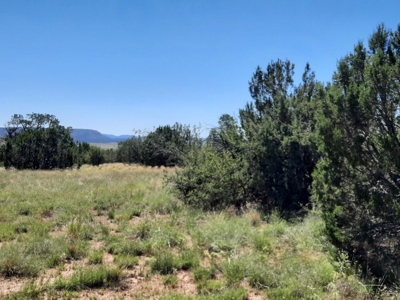 Beautiful 13 Acre Northern Az Off Grid Property - image 6