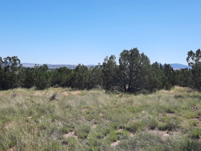 Beautiful 13 Acre Northern Az Off Grid Property - image 4