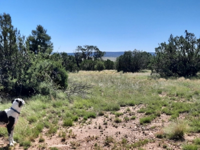 Beautiful 13 Acre Northern Az Off Grid Property - image 7