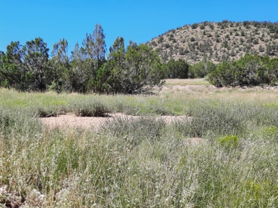 Beautiful 13 Acre Northern Az Off Grid Property - image 10