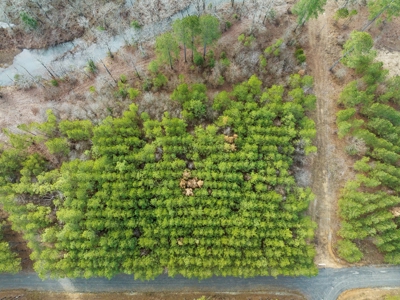 Tract 14 - Little Eagle Creek North Dev – Creek Frontage - image 7
