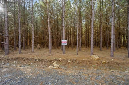 Tract 14 - Little Eagle Creek North Dev – Creek Frontage - image 8