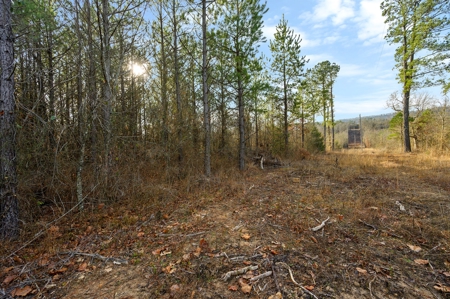 Tract 14 - Little Eagle Creek North Dev – Creek Frontage - image 12
