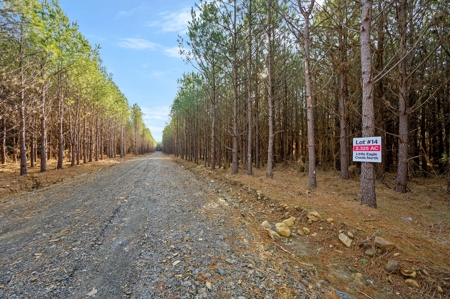 Tract 14 - Little Eagle Creek North Dev – Creek Frontage - image 10
