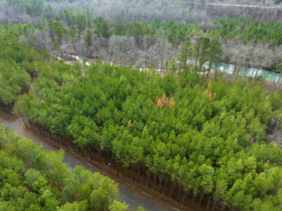 Tract 14 - Little Eagle Creek North Dev – Creek Frontage - image 6