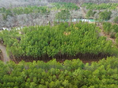 Tract 14 - Little Eagle Creek North Dev – Creek Frontage - image 5