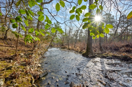 Tract 14 - Little Eagle Creek North Dev – Creek Frontage - image 15