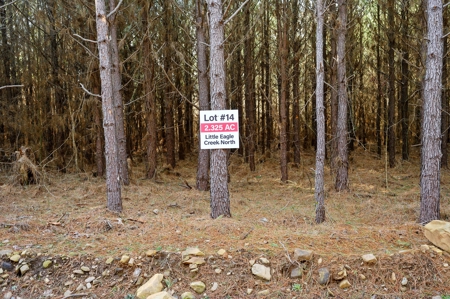 Tract 14 - Little Eagle Creek North Dev – Creek Frontage - image 9