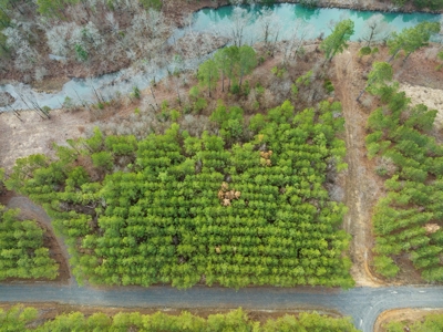 Tract 14 - Little Eagle Creek North Dev – Creek Frontage - image 4