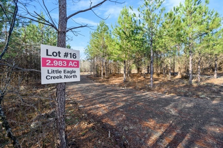 Tract 16 - Little Eagle Creek North Dev – Creek Frontage - image 7