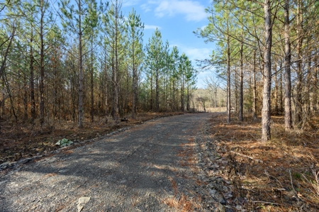 Tract 16 - Little Eagle Creek North Dev – Creek Frontage - image 8