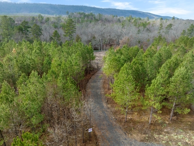Tract 16 - Little Eagle Creek North Dev – Creek Frontage - image 4