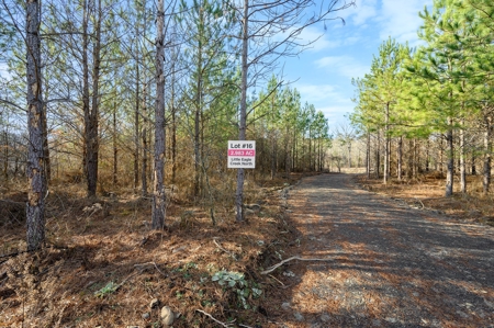 Tract 16 - Little Eagle Creek North Dev – Creek Frontage - image 6