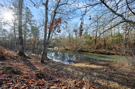Tract 16 - Little Eagle Creek North Dev – Creek Frontage - image 10