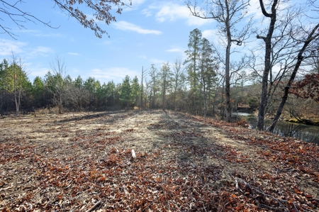 Tract 16 - Little Eagle Creek North Dev – Creek Frontage - image 9