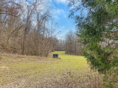 Southside Land Co. Shares and Camps - image 9