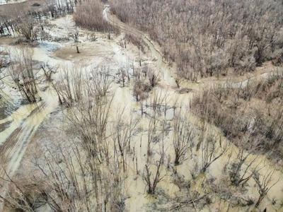 Southside Land Co. Shares and Camps - image 3